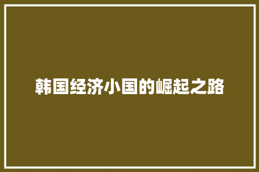 韩国经济小国的崛起之路 韩国经济小国的崛起之路
