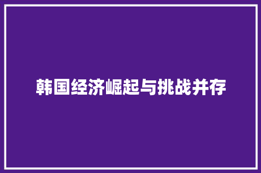 韩国经济崛起与挑战并存 韩国经济崛起与挑战并存