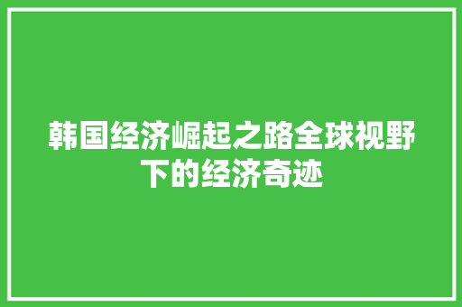 韩国经济崛起之路全球视野下的经济奇迹 韩国经济崛起之路全球视野下的经济奇迹