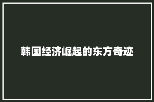 韩国经济崛起的东方奇迹 韩国经济崛起的东方奇迹