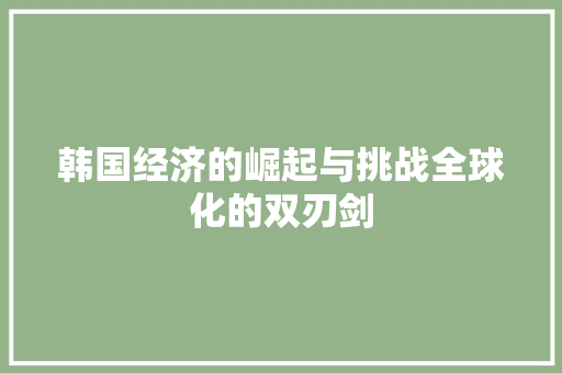 韩国经济的崛起与挑战全球化的双刃剑 韩国经济的崛起与挑战全球化的双刃剑