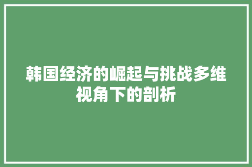 韩国经济的崛起与挑战多维视角下的剖析 韩国经济的崛起与挑战多维视角下的剖析