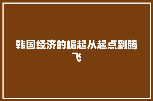 韩国经济的崛起从起点到腾飞 韩国经济的崛起从起点到腾飞