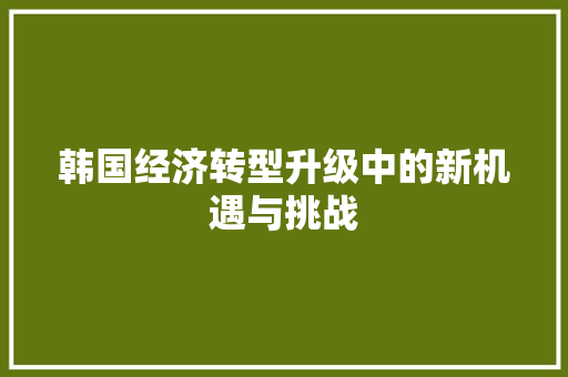 韩国经济转型升级中的新机遇与挑战 韩国经济转型升级中的新机遇与挑战