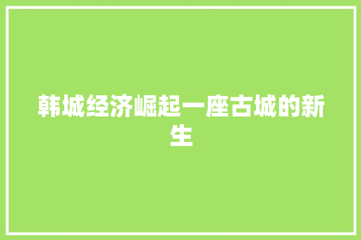 韩城经济崛起一座古城的新生 韩城经济崛起一座古城的新生