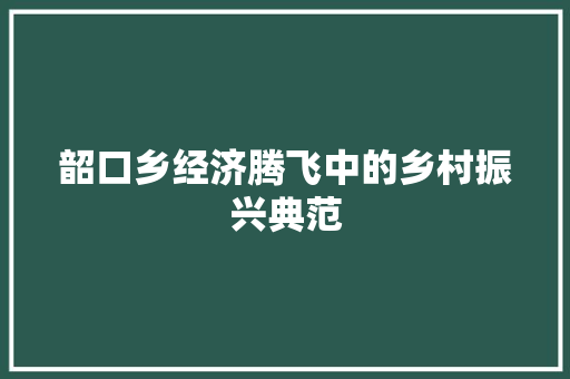 韶口乡经济腾飞中的乡村振兴典范 韶口乡经济腾飞中的乡村振兴典范