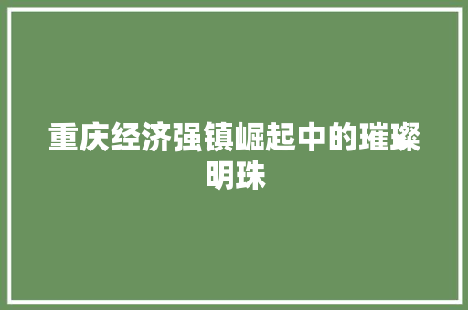 重庆经济强镇崛起中的璀璨明珠 重庆经济强镇崛起中的璀璨明珠