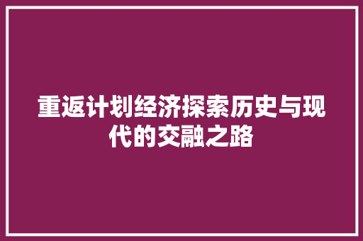 重返计划经济探索历史与现代的交融之路 重返计划经济探索历史与现代的交融之路