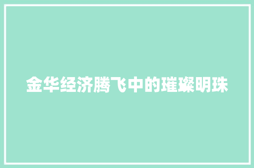 金华经济腾飞中的璀璨明珠