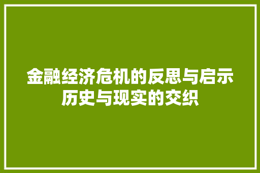 金融经济危机的反思与启示历史与现实的交织 金融经济危机的反思与启示历史与现实的交织