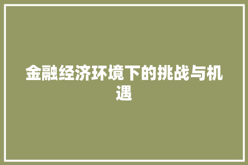 金融经济环境下的挑战与机遇 金融经济环境下的挑战与机遇