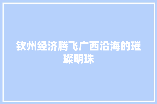 钦州经济腾飞广西沿海的璀璨明珠 钦州经济腾飞广西沿海的璀璨明珠