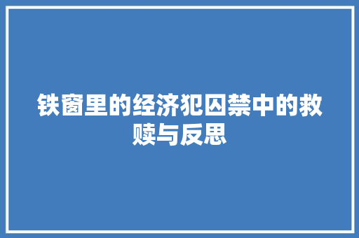铁窗里的经济犯囚禁中的救赎与反思 铁窗里的经济犯囚禁中的救赎与反思