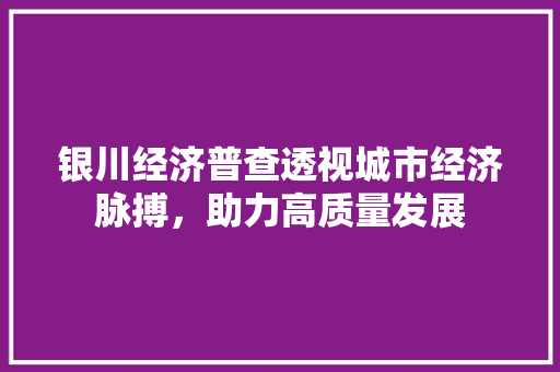 银川经济普查透视城市经济脉搏,助力高质量发展 银川经济普查透视城市经济脉搏,助力高质量发展