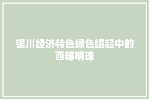 银川经济特色绿色崛起中的西部明珠 银川经济特色绿色崛起中的西部明珠