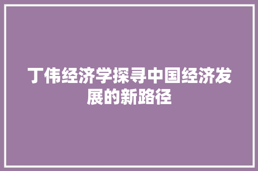 丁伟经济学探寻中国经济发展的新路径