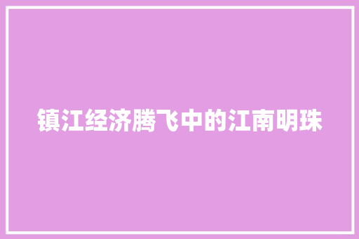 镇江经济腾飞中的江南明珠 镇江经济腾飞中的江南明珠