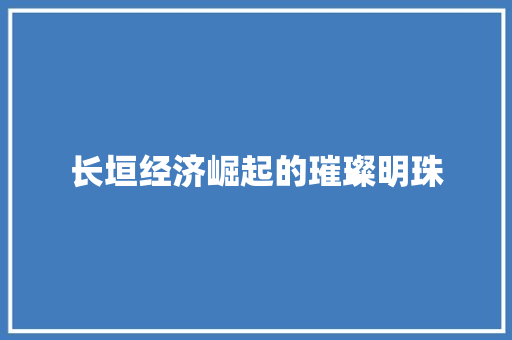长垣经济崛起的璀璨明珠 长垣经济崛起的璀璨明珠