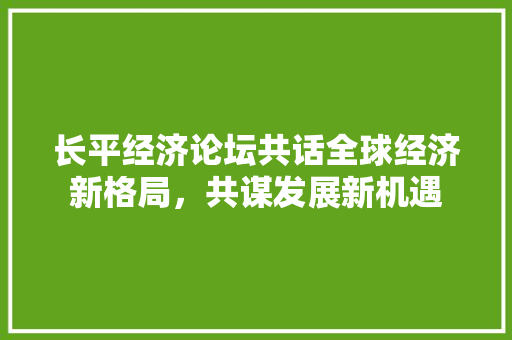 长平经济论坛共话全球经济新格局,共谋发展新机遇 长平经济论坛共话全球经济新格局,共谋发展新机遇