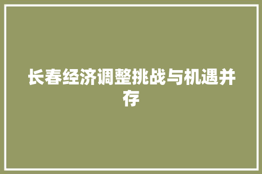 长春经济调整挑战与机遇并存 长春经济调整挑战与机遇并存