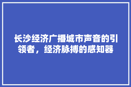 长沙经济广播城市声音的引领者,经济脉搏的感知器 长沙经济广播城市声音的引领者,经济脉搏的感知器