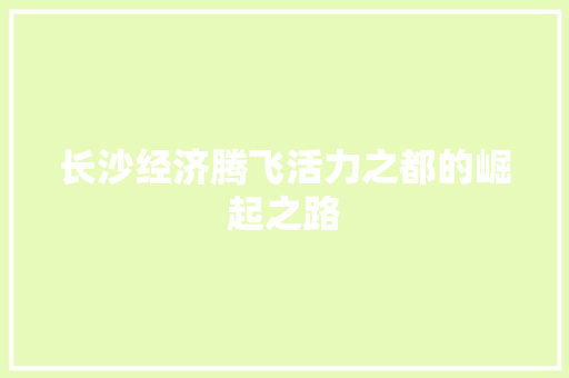 长沙经济腾飞活力之都的崛起之路 长沙经济腾飞活力之都的崛起之路
