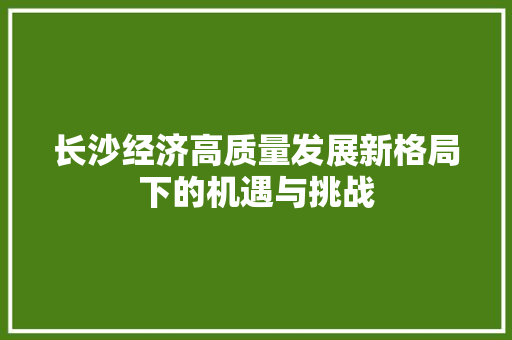 长沙经济高质量发展新格局下的机遇与挑战 长沙经济高质量发展新格局下的机遇与挑战
