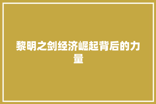 黎明之剑经济崛起背后的力量 黎明之剑经济崛起背后的力量