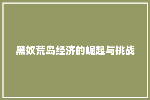 黑奴荒岛经济的崛起与挑战 黑奴荒岛经济的崛起与挑战