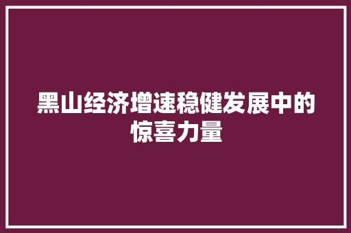黑山经济增速稳健发展中的惊喜力量 黑山经济增速稳健发展中的惊喜力量