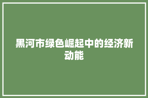 黑河市绿色崛起中的经济新动能 黑河市绿色崛起中的经济新动能