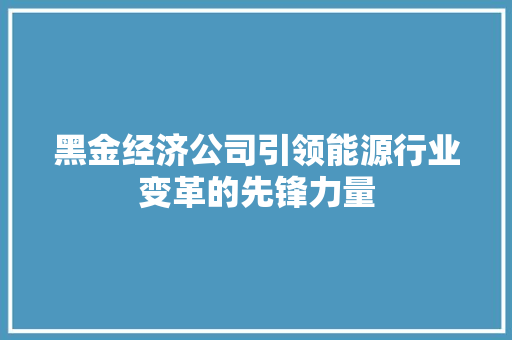 黑金经济公司引领能源行业变革的先锋力量 黑金经济公司引领能源行业变革的先锋力量