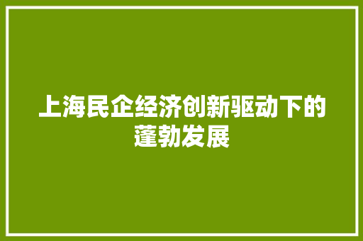上海民企经济创新驱动下的蓬勃发展 上海民企经济创新驱动下的蓬勃发展