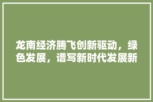 龙南经济腾飞创新驱动,绿色发展,谱写新时代发展新篇章 龙南经济腾飞创新驱动,绿色发展,谱写新时代发展新篇章