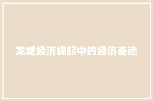 龙城经济崛起中的经济奇迹 龙城经济崛起中的经济奇迹