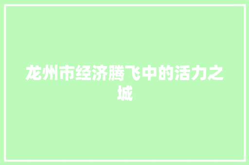 龙州市经济腾飞中的活力之城 龙州市经济腾飞中的活力之城