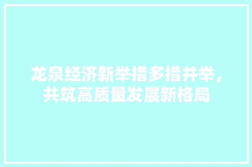 龙泉经济新举措多措并举，共筑高质量发展新格局