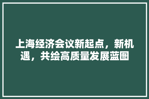 上海经济会议新起点,新机遇,共绘高质量发展蓝图 上海经济会议新起点,新机遇,共绘高质量发展蓝图