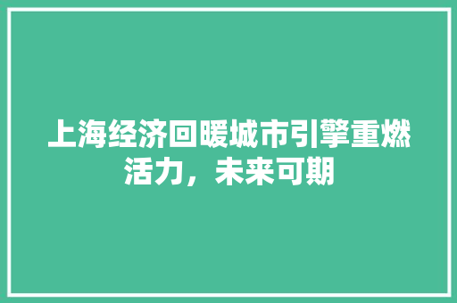 上海经济回暖城市引擎重燃活力,未来可期 上海经济回暖城市引擎重燃活力,未来可期