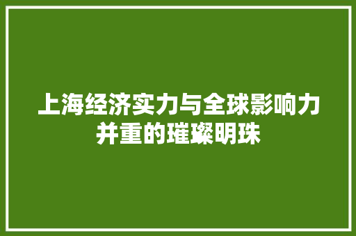 上海经济实力与全球影响力并重的璀璨明珠 上海经济实力与全球影响力并重的璀璨明珠