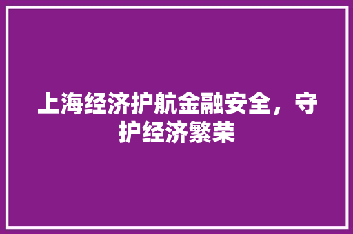 上海经济护航金融安全,守护经济繁荣 上海经济护航金融安全,守护经济繁荣
