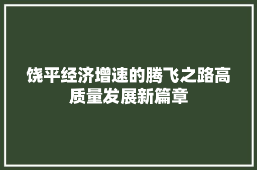 饶平经济增速的腾飞之路高质量发展新篇章 饶平经济增速的腾飞之路高质量发展新篇章