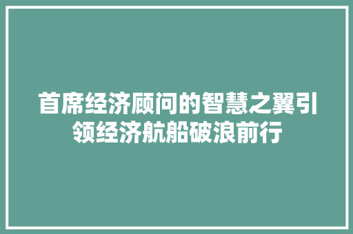 首席经济顾问的智慧之翼引领经济航船破浪前行 首席经济顾问的智慧之翼引领经济航船破浪前行