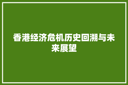 香港经济危机历史回溯与未来展望 香港经济危机历史回溯与未来展望