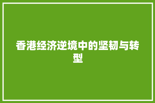 香港经济逆境中的坚韧与转型 香港经济逆境中的坚韧与转型