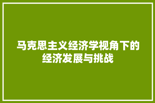 马克思主义经济学视角下的经济发展与挑战 马克思主义经济学视角下的经济发展与挑战