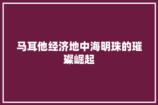 马耳他经济地中海明珠的璀璨崛起 马耳他经济地中海明珠的璀璨崛起