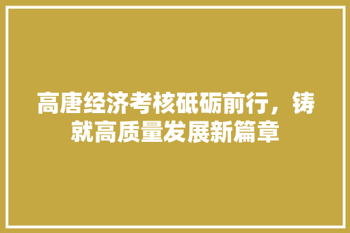 高唐经济考核砥砺前行,铸就高质量发展新篇章 高唐经济考核砥砺前行,铸就高质量发展新篇章