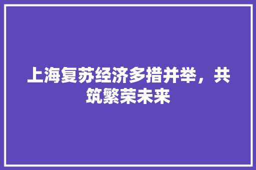 上海复苏经济多措并举,共筑繁荣未来 上海复苏经济多措并举,共筑繁荣未来