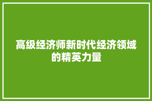 高级经济师新时代经济领域的精英力量 高级经济师新时代经济领域的精英力量